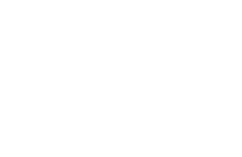 Dynamic Builders LHC